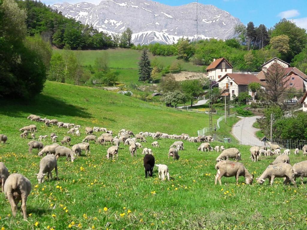 Les Clarines Perceneige - Chambre D'Hotes Vue Sur Montagne & Spa Saint-Jacques-en-Valgodemard Esterno foto